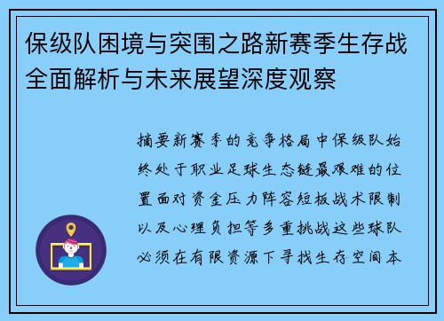保级队困境与突围之路新赛季生存战全面解析与未来展望深度观察